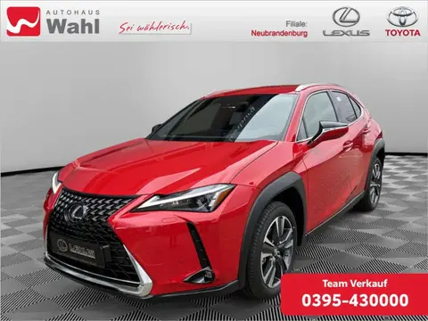 Annonce LEXUS UX Hybride 2024 d'occasion 