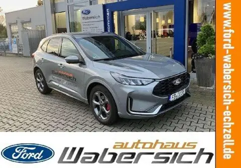 Annonce FORD KUGA Hybride 2024 d'occasion 