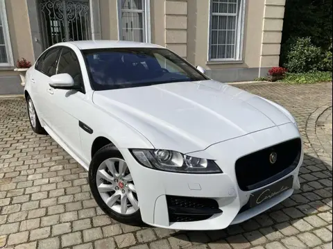 Annonce JAGUAR XF Diesel 2019 d'occasion 