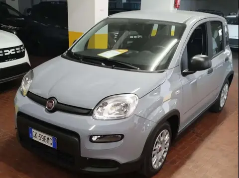 Annonce FIAT PANDA Hybride 2023 d'occasion 