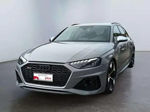 Used AUDI RS4 Petrol 2024 Ad 