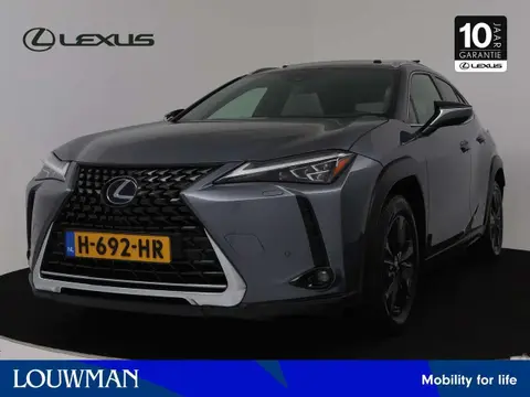 Used LEXUS UX Hybrid 2020 Ad 