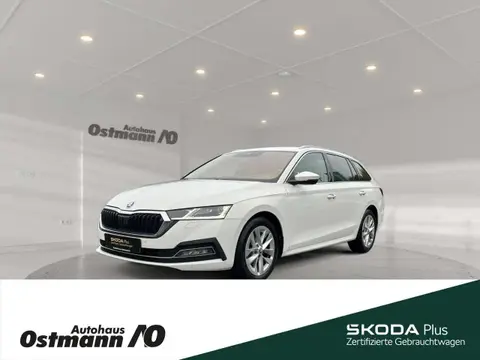 Annonce SKODA OCTAVIA Essence 2021 d'occasion 