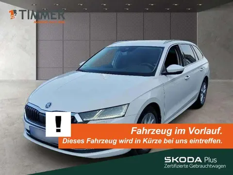 Annonce SKODA OCTAVIA Diesel 2021 d'occasion 