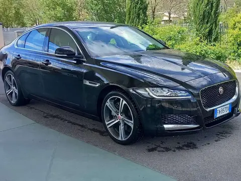 Annonce JAGUAR XF Diesel 2019 d'occasion 