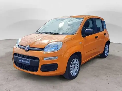 Used FIAT PANDA Petrol 2020 Ad 