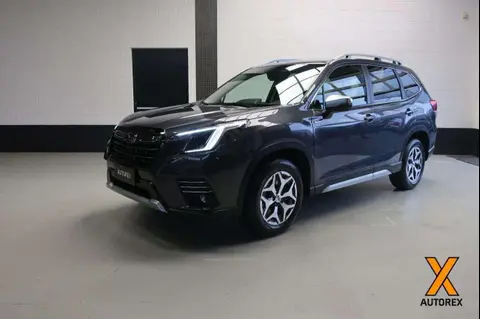 Annonce SUBARU FORESTER Hybride 2024 d'occasion 