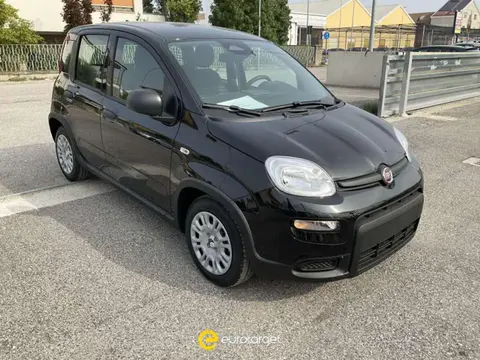 Annonce FIAT PANDA Hybride 2024 d'occasion 