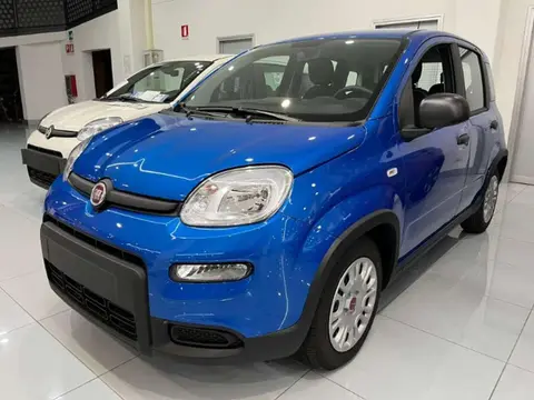 Used FIAT PANDA Hybrid 2024 Ad 