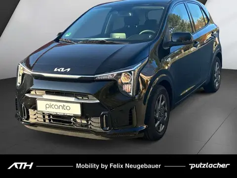 Used KIA PICANTO Petrol 2024 Ad 