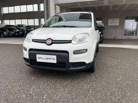 Annonce FIAT PANDA Hybride 2022 d'occasion 