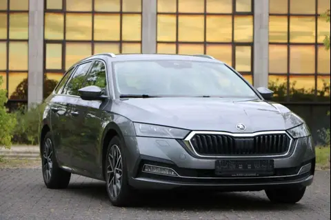 Annonce SKODA OCTAVIA Diesel 2023 d'occasion 