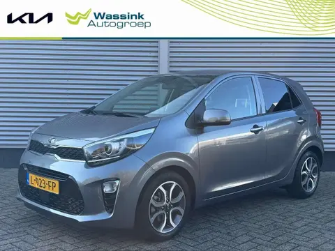 Annonce KIA PICANTO Essence 2021 d'occasion 