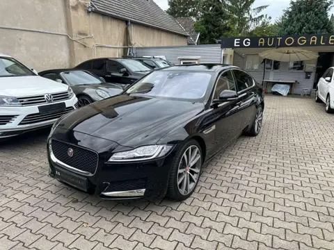 Annonce JAGUAR XF Diesel 2019 d'occasion 