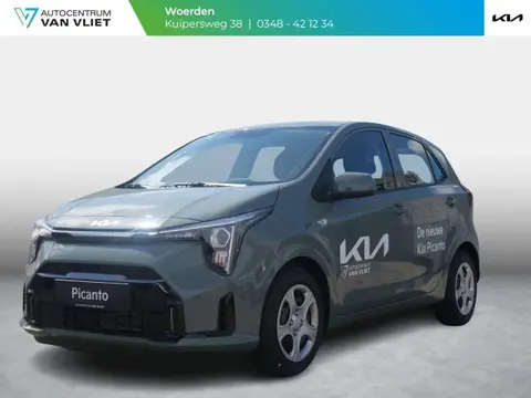 Used KIA PICANTO Petrol 2024 Ad 