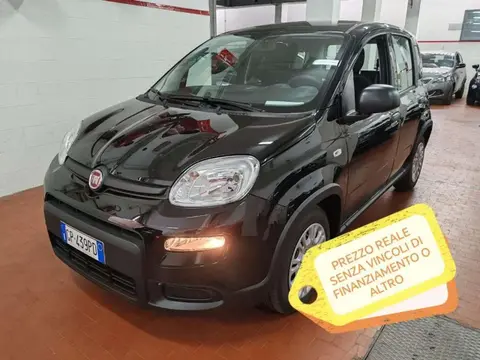 Used FIAT PANDA Hybrid 2023 Ad 