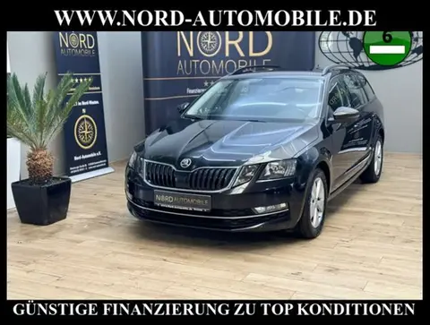 Annonce SKODA OCTAVIA Diesel 2019 d'occasion 