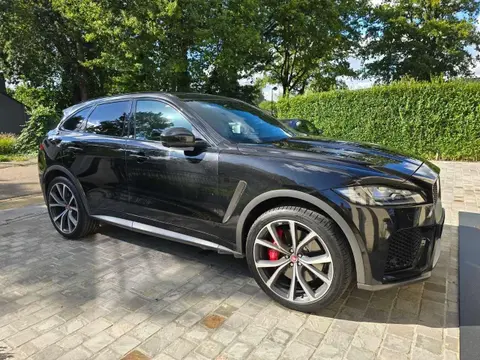 Used JAGUAR F-PACE Petrol 2019 Ad 