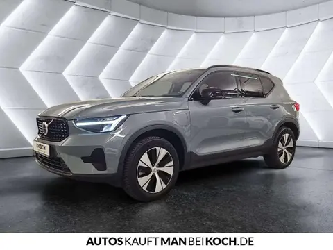 Used VOLVO XC40 Hybrid 2022 Ad 