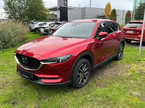 Annonce MAZDA CX-5 Essence 2019 d'occasion 