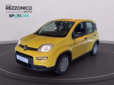 Annonce FIAT PANDA Hybride 2024 d'occasion 