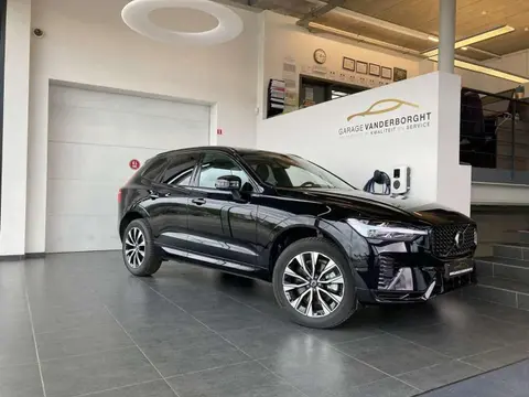 Annonce VOLVO XC60 Essence 2023 d'occasion 