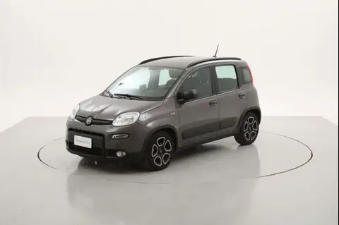 Used FIAT PANDA Hybrid 2021 Ad 