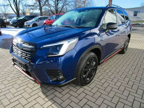 Used SUBARU FORESTER Hybrid 2023 Ad Germany