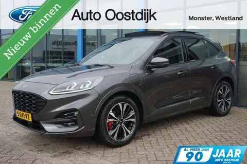 Used FORD KUGA Hybrid 2020 Ad 