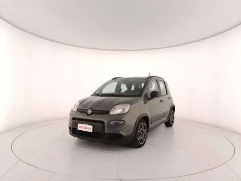 Used FIAT PANDA Hybrid 2021 Ad 