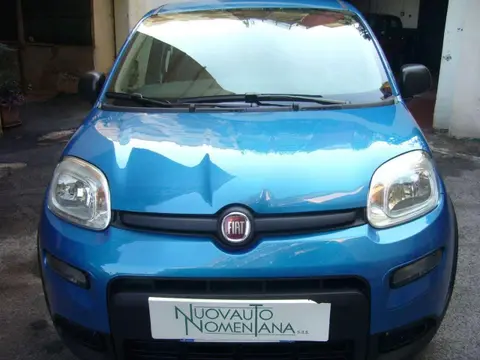 Annonce FIAT PANDA Hybride 2024 d'occasion 