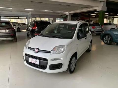 Used FIAT PANDA Petrol 2018 Ad 