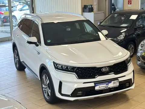 Used KIA SORENTO Petrol 2021 Ad 