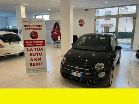 Used FIAT 500 Petrol 2020 Ad 