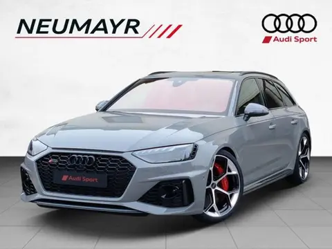 Annonce AUDI RS4 Essence 2024 d'occasion 