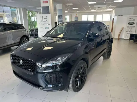 Used JAGUAR E-PACE Hybrid 2024 Ad 