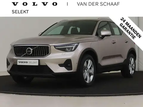 Used VOLVO XC40 Hybrid 2023 Ad 