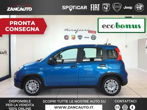 Used FIAT PANDA Hybrid 2024 Ad 