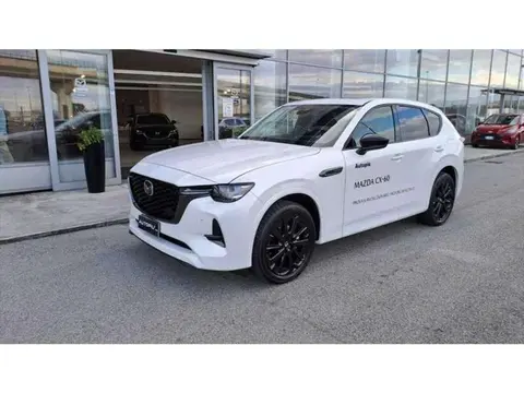 Annonce MAZDA CX-60 Diesel 2023 d'occasion 