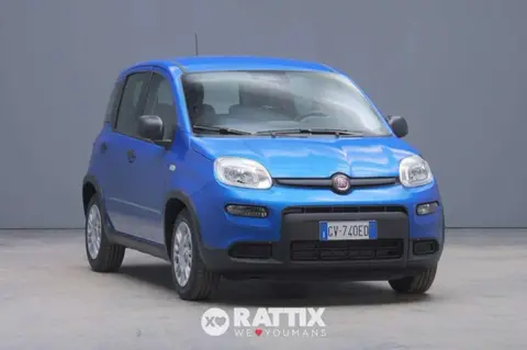 Annonce FIAT PANDA Hybride 2024 d'occasion 