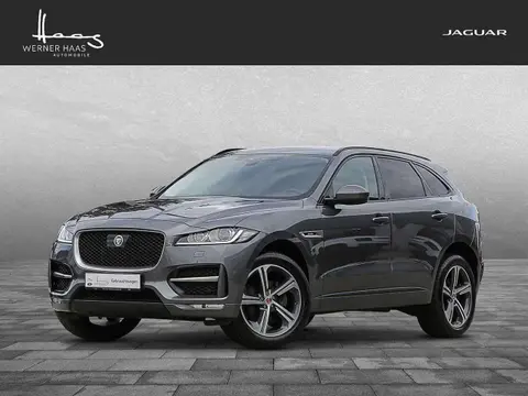 Annonce JAGUAR F-PACE Essence 2019 d'occasion 