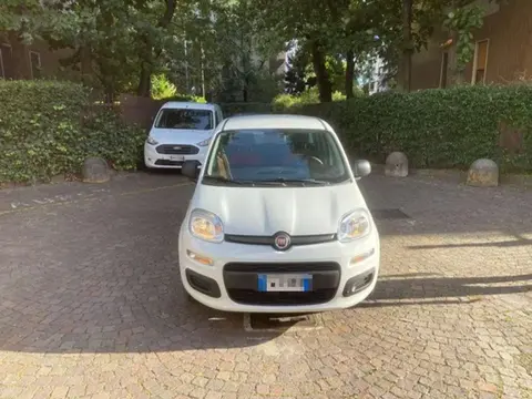 Annonce FIAT PANDA Essence 2019 d'occasion 