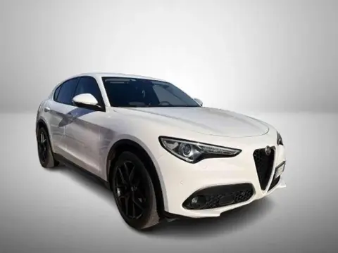 Used ALFA ROMEO STELVIO Diesel 2018 Ad 