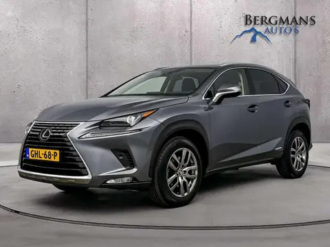 Annonce LEXUS NX Hybride 2020 d'occasion 