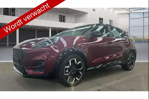 Annonce FORD PUMA Essence 2024 d'occasion 