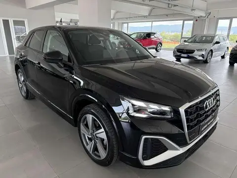 Annonce AUDI Q2 Essence 2024 d'occasion 