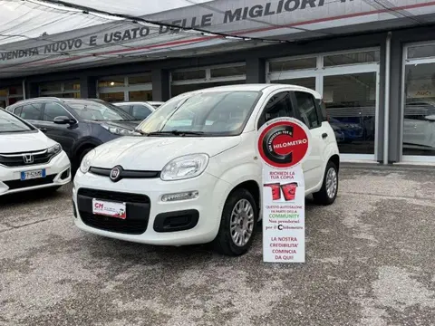 Annonce FIAT PANDA Essence 2019 d'occasion 