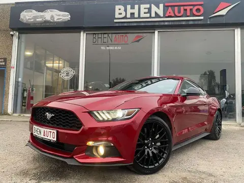 Used FORD MUSTANG Petrol 2016 Ad 