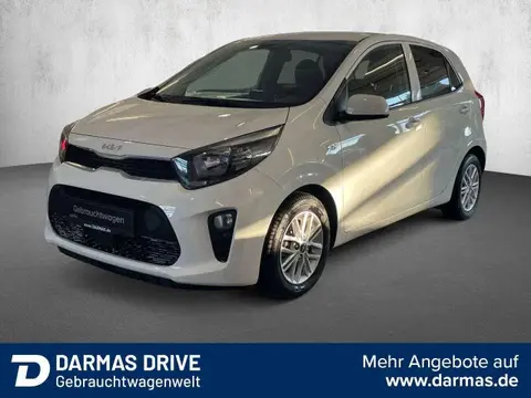 Used KIA PICANTO Petrol 2022 Ad 