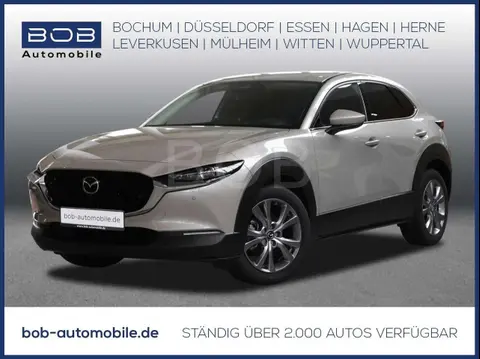 Annonce MAZDA CX-30 Essence 2024 d'occasion Allemagne